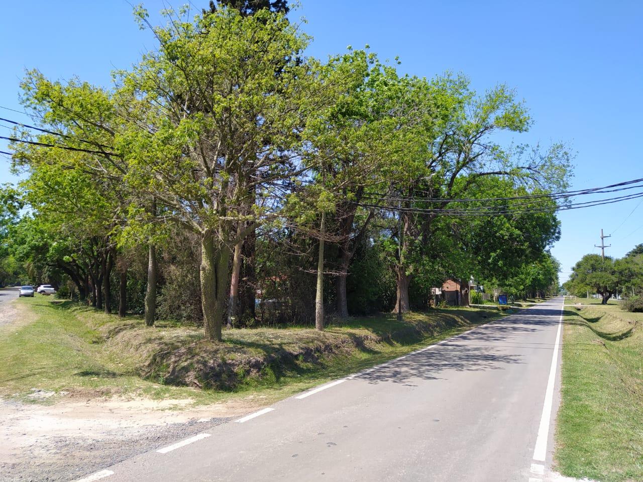 Inmejorable ubicación – San Nicolas esquina Pueyrredón – Funes