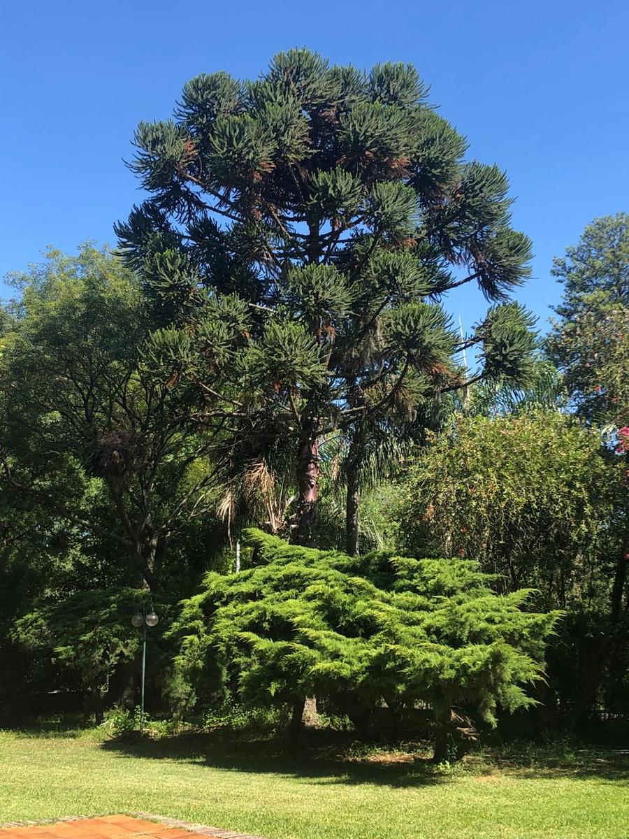 Terreno en Contos de la Alameda Uspallata esquina Calchaquí Roldan.